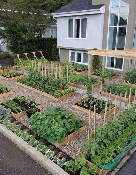 15 Fascinating Fruit And Vegetable Garden Ideas You Need To Try ...