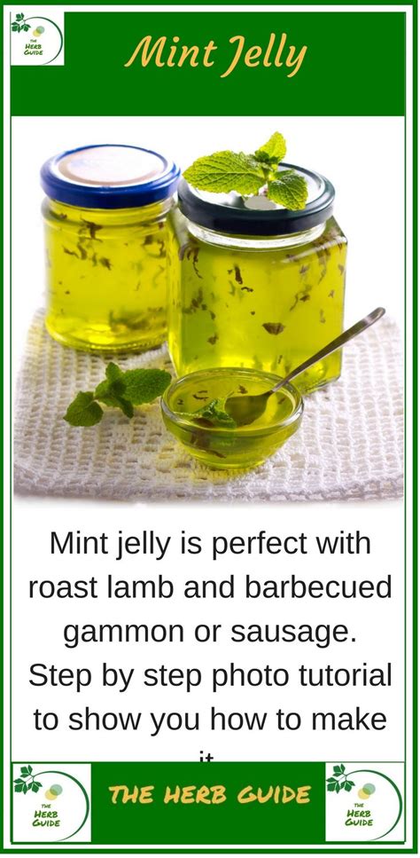 Mint Jelly | Mint jelly, Mint jelly recipe, Apple mint jelly recipe