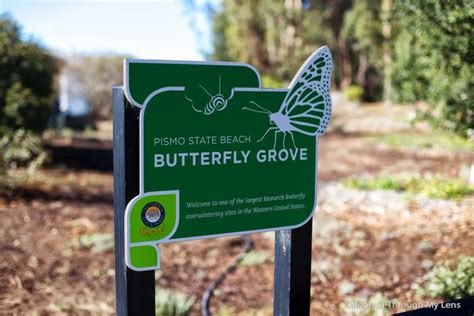 Pismo Monarch Butterfly Grove, Pismo Beach, CA - California Beaches