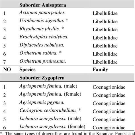 Types of dragonflies found in the Punai beach area. | Download Scientific Diagram