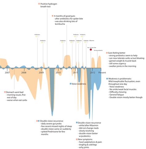 Visualize This: An e-Patient's Medical Life History - SPM Blog