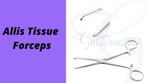 Allis Tissue Forceps: All You Need to Know