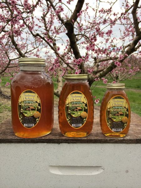 Fruitwood Orchards Clover Honey - The Thirsty Quaker