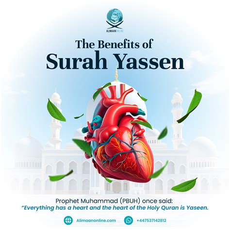 The Benefits of Surah Yaseen: Spiritual Rewards and Blessings - Alimaan ...