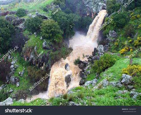 Banias Waterfall In The Spring At The Golan Heights (Israel). Stock ...