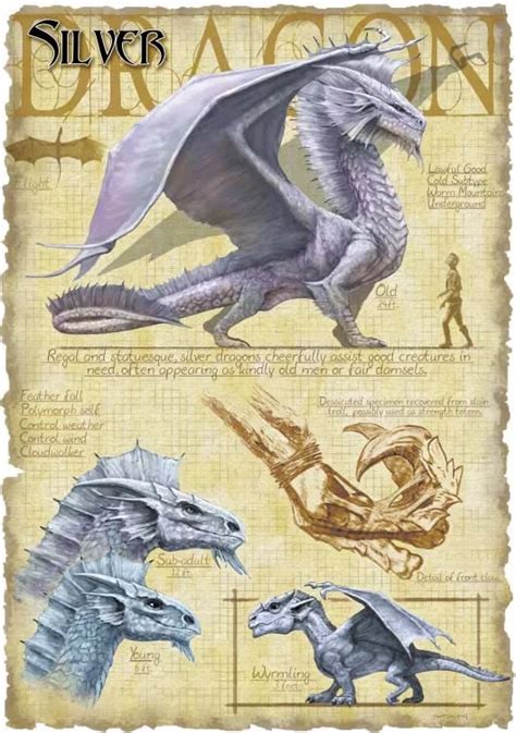 Silver dragon | Forgotten Realms Wiki | Fandom | Dragon artwork, Fantasy creatures, Fantasy dragon