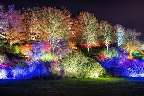 Glow At RHS Hyde Hall, Essex Review – What's Good To Do