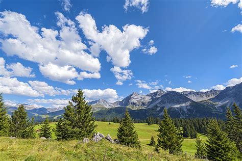 Desktop Wallpapers Switzerland Jakobshorn Davos Nature Spruce