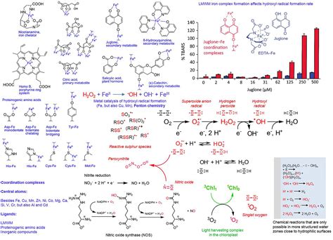 Frontiers | Low-molecular-weight metabolite systems chemistry ...
