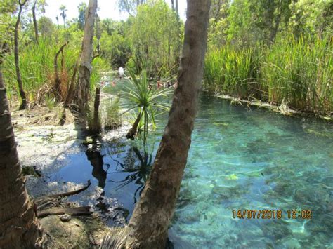 Mataranka - Blog from Mataranka, Northern Territory | Steve and Joannes ...