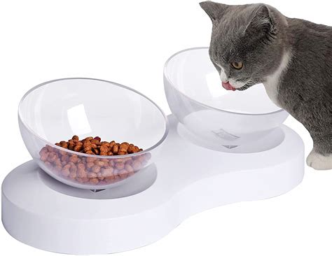 7 Best Cat Food Bowls Reviews & Buying Guide - Kitten Passion