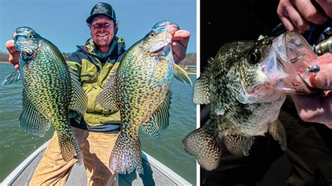 Winter Crappie with Jigs and Bobbers - Wired2Fish