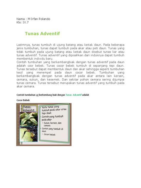 IPA Tunas Adventif | PDF