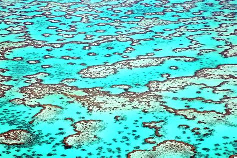 Aerial View Of Great Barrier Reef by Peter Harrison