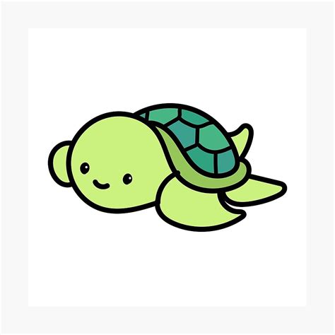 Chibi Turtle Drawing | ubicaciondepersonas.cdmx.gob.mx