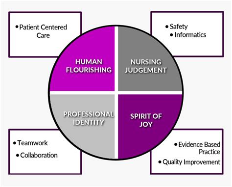 Human Flourishing Nursing Example, HD Png Download - kindpng