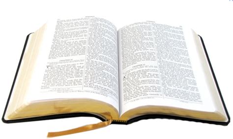 Open Bible Transparent Background - Transparent Background Bible Png - (503x300) Png Clipart ...