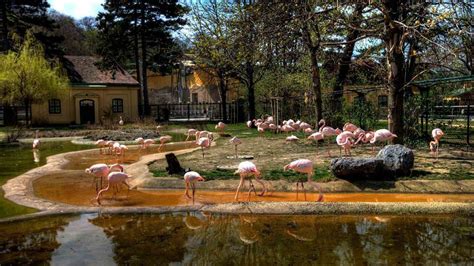 Vienna Zoo, Vienna - VisaLiv