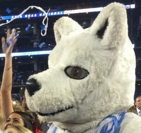 UCONN Huskies Mascot Getting Frisky During Celebration (Photo) - BlackSportsOnline