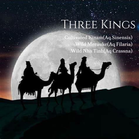 Three Kings