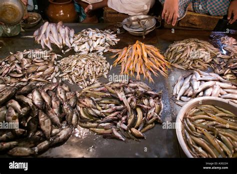 A fish market in Dhaka Bangladesh Stock Photo - Alamy