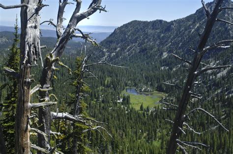 Wallowa-Whitman forest becoming battleground for off-road-vehicle limits | OregonLive.com