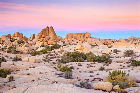 The Major Deserts Of The United States - WorldAtlas