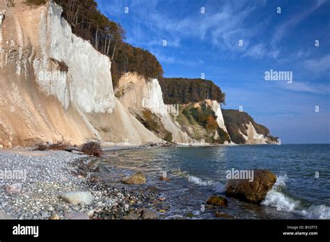 Chalk cliffs and beach in Jasmund National Park on Rugen / Rügen Island on the Baltic Sea ...