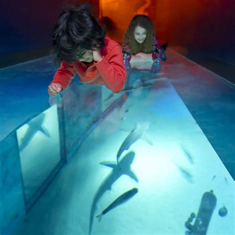 Day Out at London Aquarium - In The Playroom