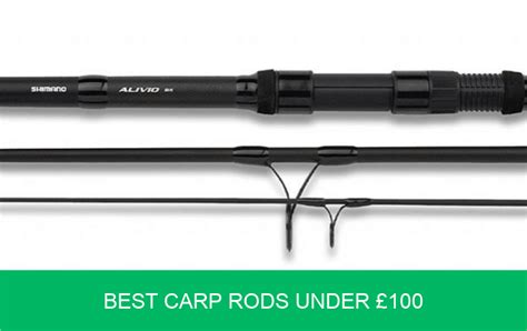 Best Carp Rods Under £100 20019 | Carp N Bait