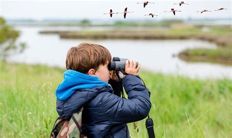 Bird Watching - Blackbush Resort