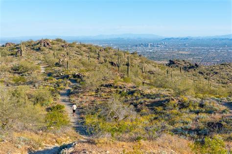 Best Hiking Trails in Phoenix, Arizona