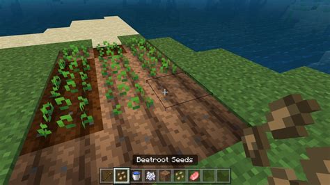 How to Plant Seeds in Minecraft