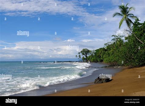 Wonderful Beaches - Costa Rica Drake Bay Beach Stock Photo - Alamy