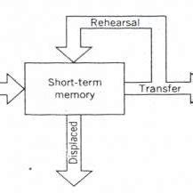 (PDF) Short Term Memory vs. Working Memory