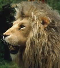 Aslan Voice - Narnia franchise | Behind The Voice Actors