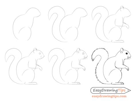 How to Draw a Squirrel From the Side View Tutorial - EasyDrawingTips