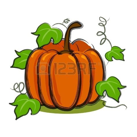 Pumpkin Vine Drawing | Free download on ClipArtMag