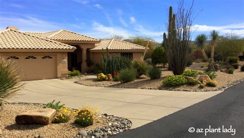 Arizona_garden_design_landscape - Desert Gardening 101