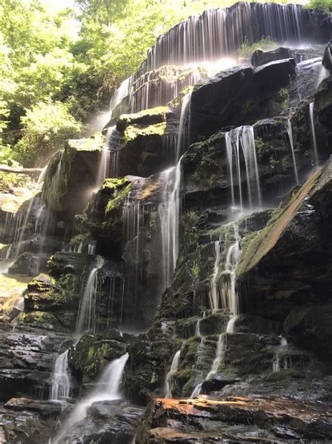 TRAIL GUIDE: Yellow Branch Falls Trail – Travel Bugged