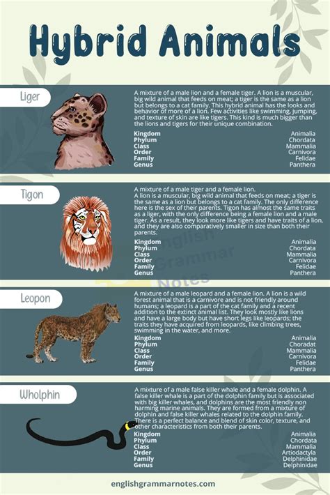 Hybrid Animals List