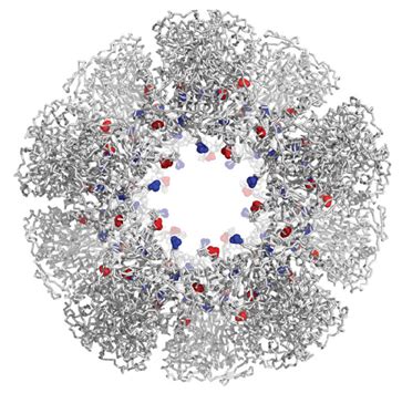 Protein Nanoparticle Structure | Samueli School of Engineering at UC Irvine