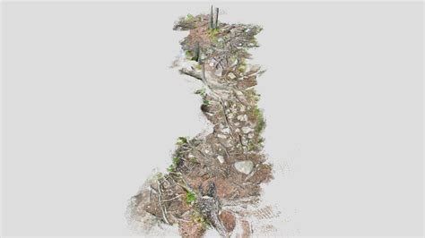 Forest Path - SiteScape 3D Map - Download Free 3D model by SiteScape [dbc4131] - Sketchfab