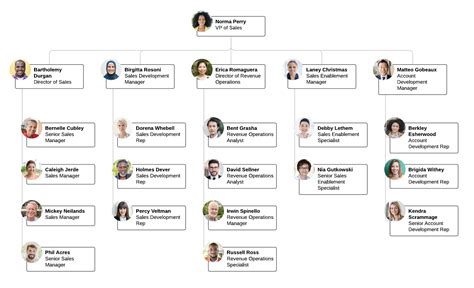 Sales Org Chart Template