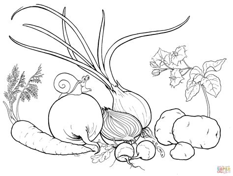 22+ Vegetables Coloring Pages Pictures ~ Coloring Pages