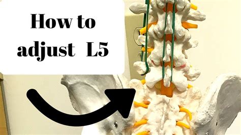 How to adjust the L5 vertebra (GONSTEAD) - YouTube | Lumbar stretches, Vertebrae, Back exercises