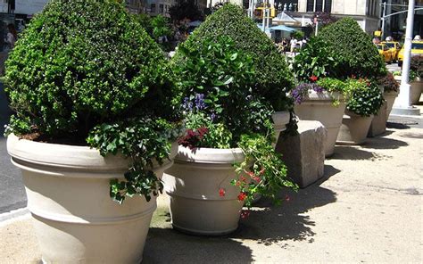 Extra-large Lightweight Planters—Where to Get Them & Benefits They Offer - TerraCast Products