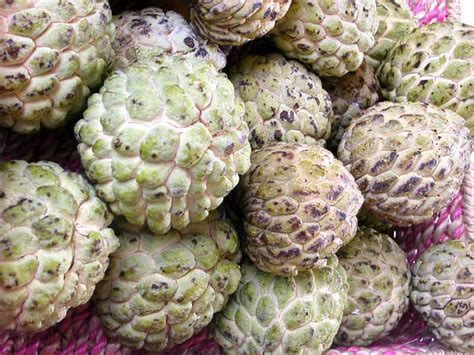 the scent of green bananas: name that fruit!: atis