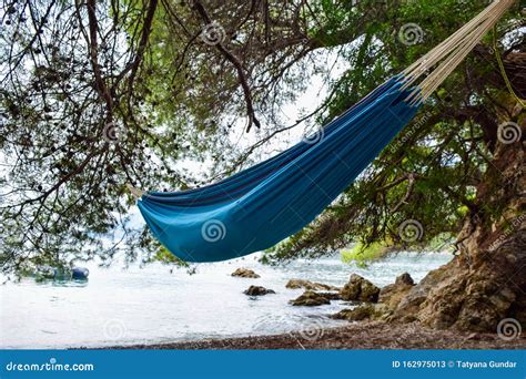 Hammocks on the beach stock image. Image of landscape - 162975013