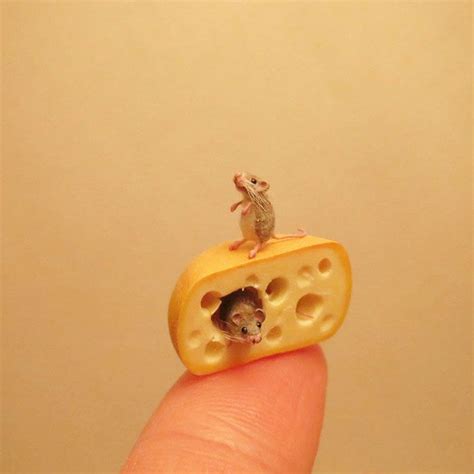 30 Biologically Accurate Miniature Animals Created By Renowned Hungarian Artist Fanni Sandor in ...